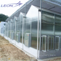 Estufa oca de policarbonato Leon Series para a agricultura